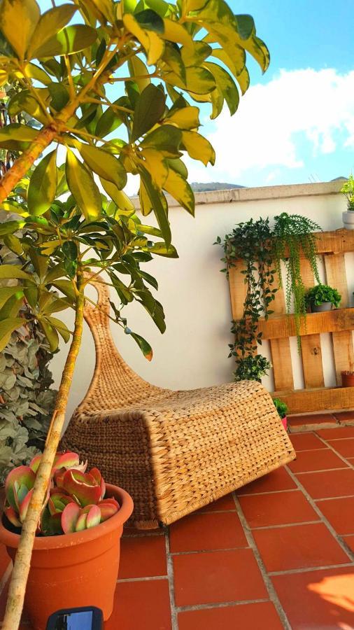 Atico en el corazón de Santa Cruz/ Cozy Penthouse Santa Cruz de Tenerife Exterior foto